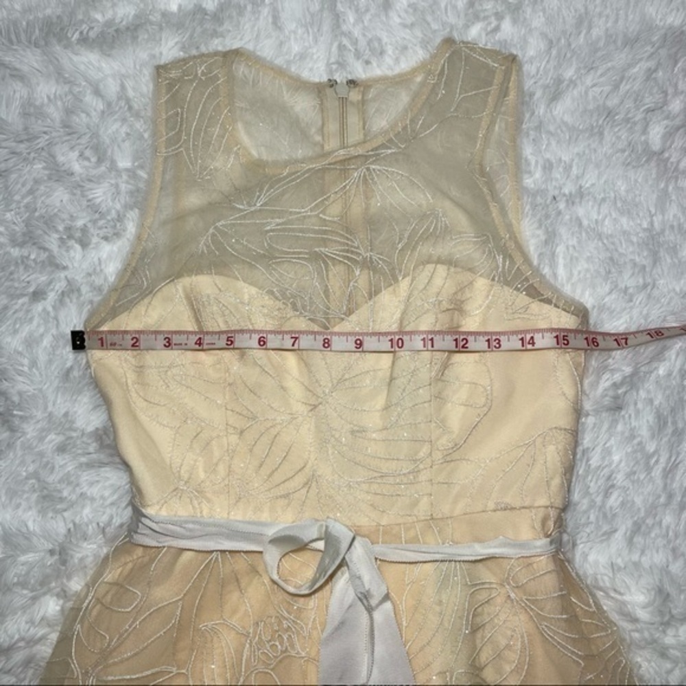 BCBG Off White Sheer Yoke MIDI Dress 4 - Picture 13 of 16